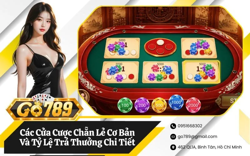Các Cửa Cược Chẵn Lẻ Cơ Bản Và Tỷ Lệ Trả Thưởng Chi Tiết
