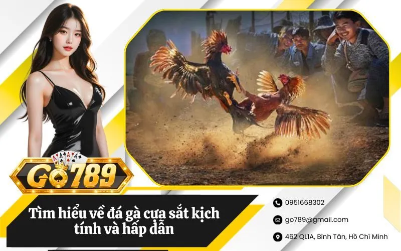 Đá gà cựa sắt