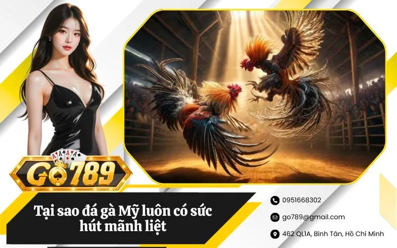 Đá gà Mỹ