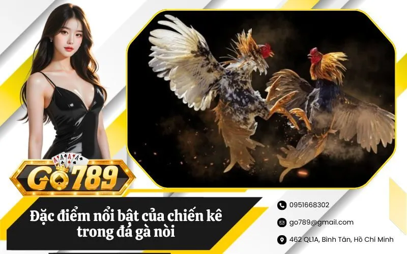 Đá gà nòi