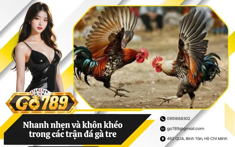 Đá gà tre