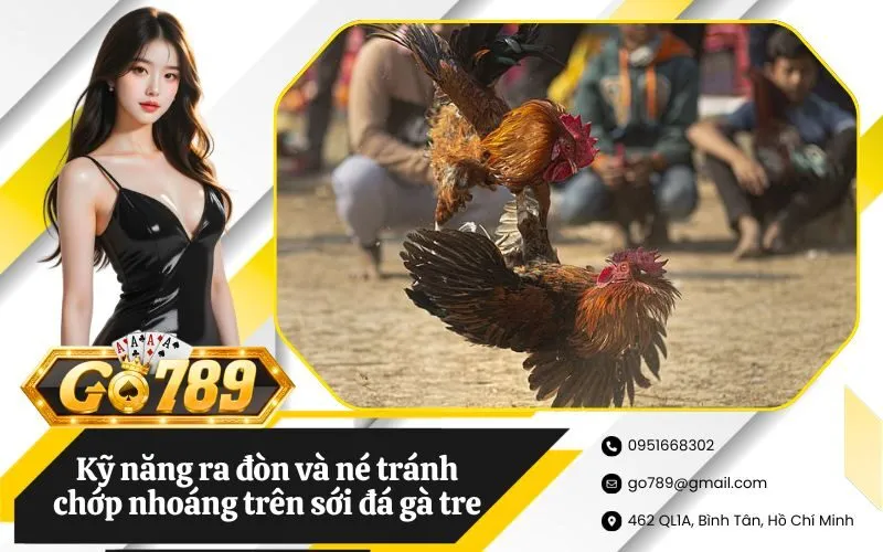 Kỹ năng ra đòn và né tránh chớp nhoáng trên sới đá gà tre