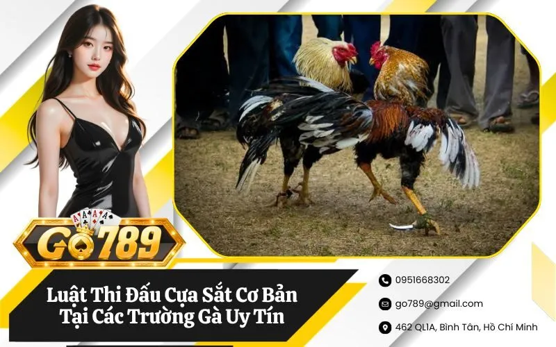Luật Thi Đấu Cựa Sắt Cơ Bản Tại Các Trường Gà Uy Tín