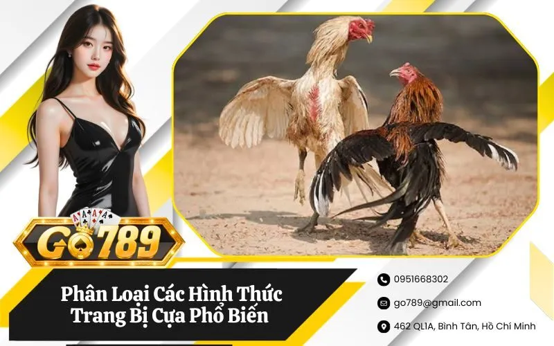 Phân Loại Các Hình Thức Trang Bị Cựa Phổ Biến Hiện Nay