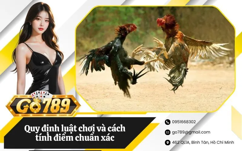 Quy định luật chơi và cách tính điểm chuẩn xác