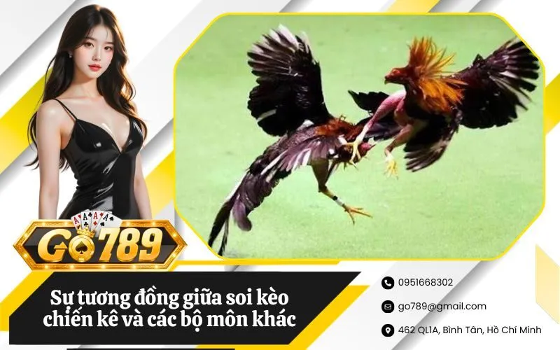 Sự tương đồng giữa soi kèo chiến kê và các bộ môn khác